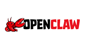 OpenClaw Skills 安装与使用完整指南